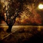 Memories Of A Dead Man : Beyond the Legend